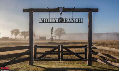 Metal Ranch Entrance Signs