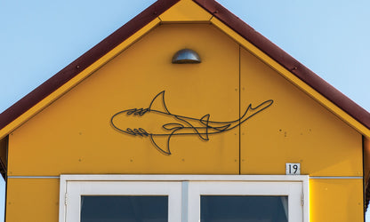 Jaws Wall Decor